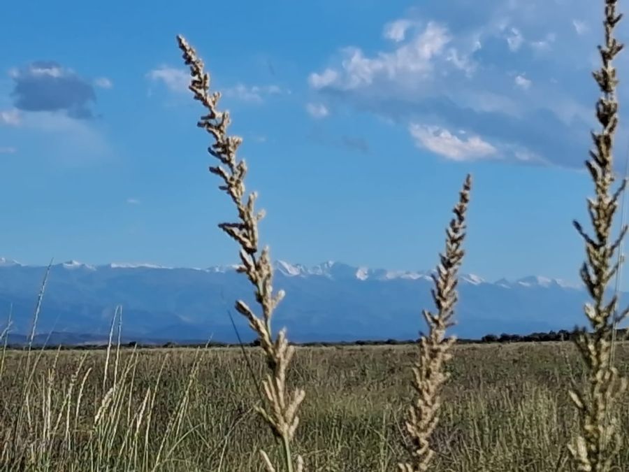 Ruta 40